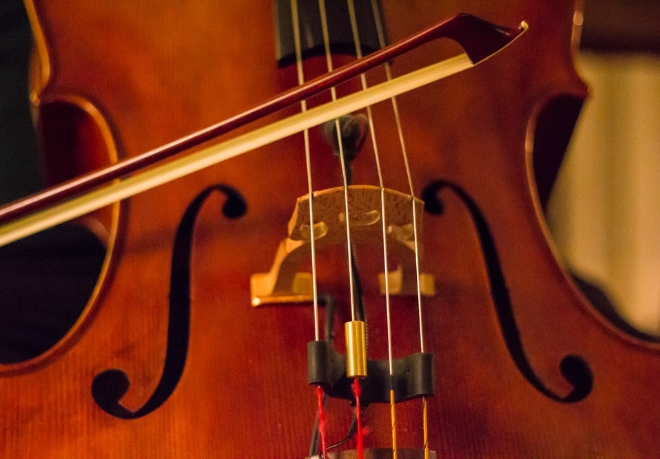 202 Middle Schoolers Make All-Region Orchestras