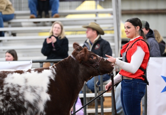 Frisco ISD FFA Leads the Pack at Annual Livestock Show